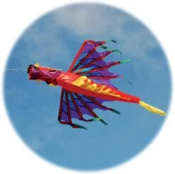 Dragon Windsock - Fire
